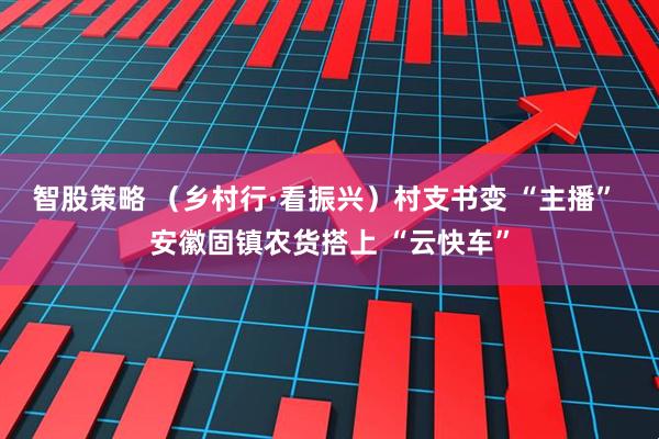 智股策略 （乡村行·看振兴）村支书变 “主播” 安徽固镇农货搭上 “云快车”