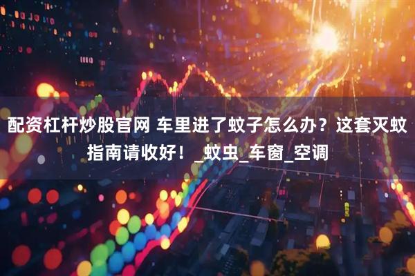 配资杠杆炒股官网 车里进了蚊子怎么办？这套灭蚊指南请收好！_蚊虫_车窗_空调