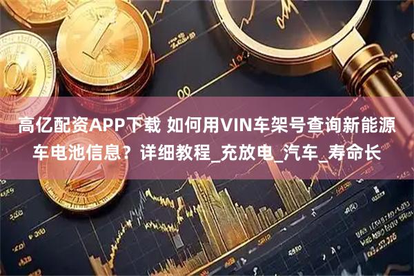 高亿配资APP下载 如何用VIN车架号查询新能源车电池信息？详细教程_充放电_汽车_寿命长